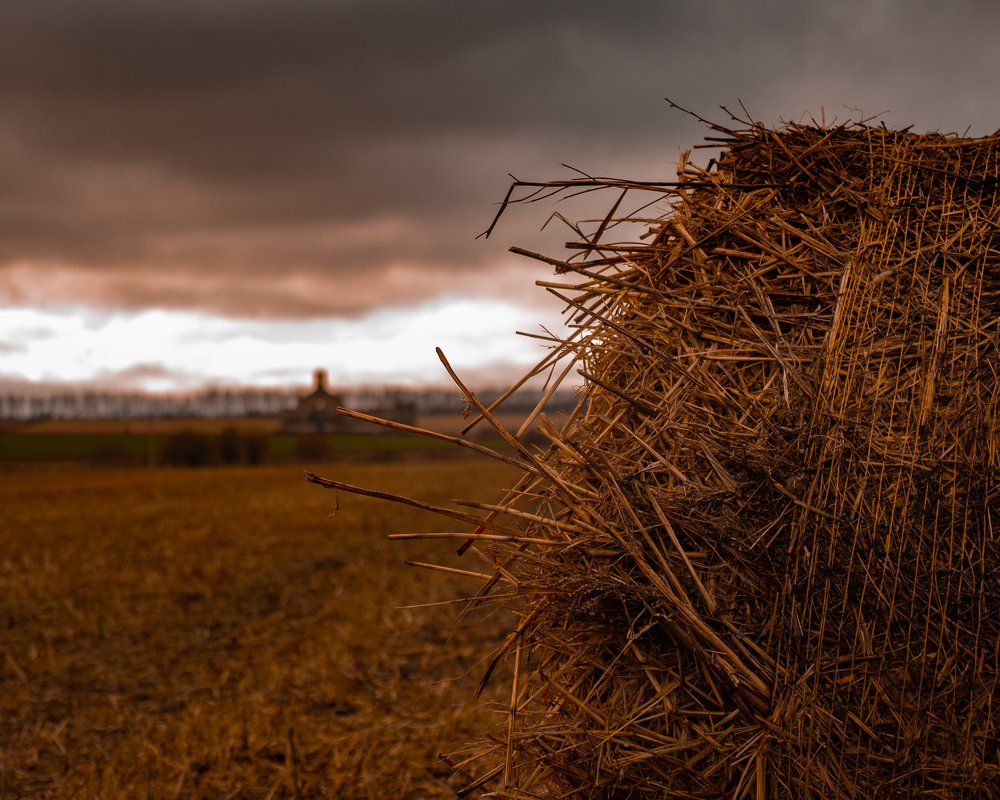 Photograph by Алексей Акулин