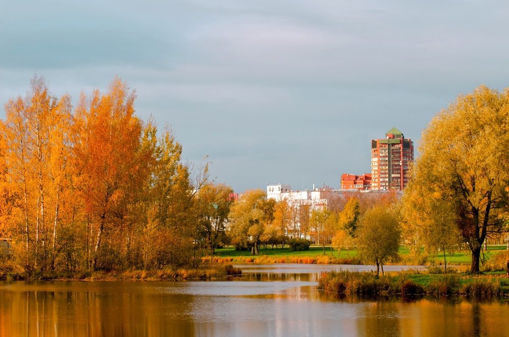 Светлая осень