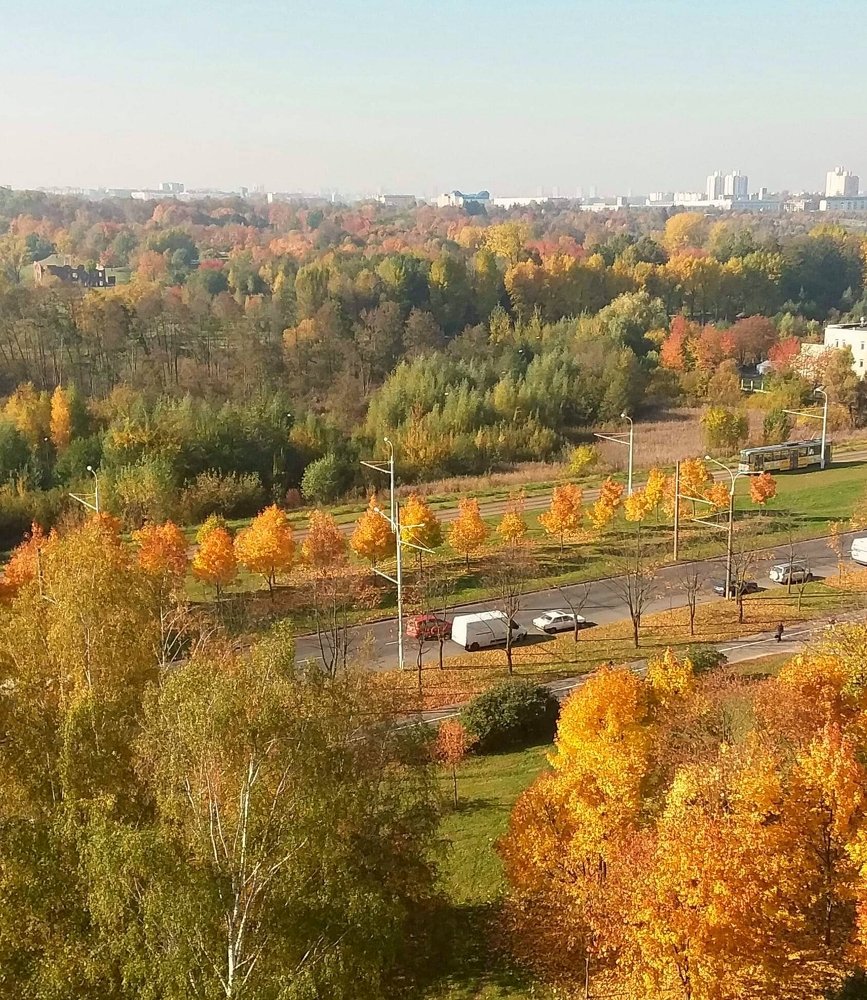 Photograph by Ольга Ковзик