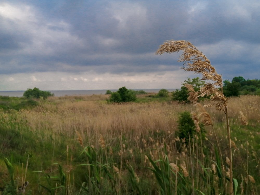 Photograph by Александр Носевич