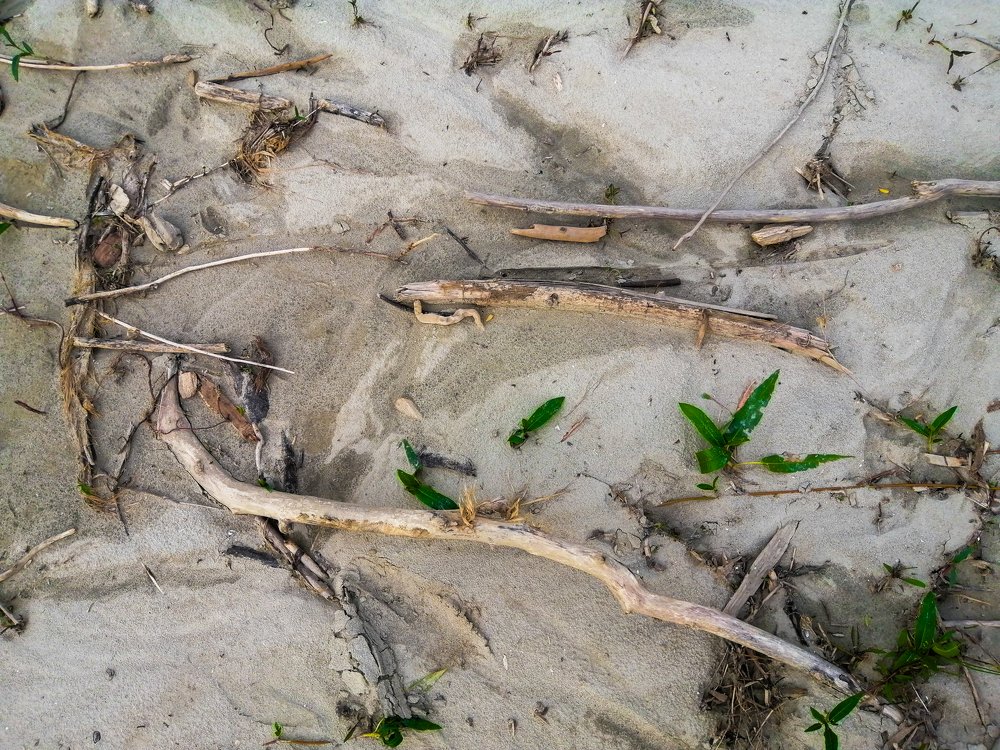 Photograph by Александр Носевич