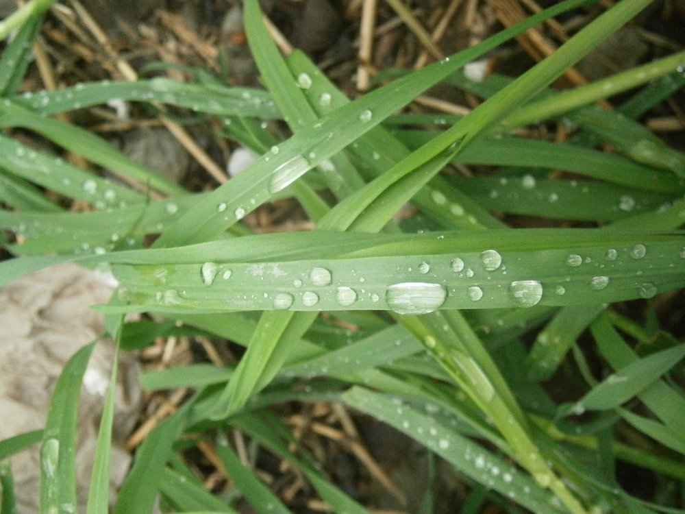 Photograph by Сергей Зиньковский