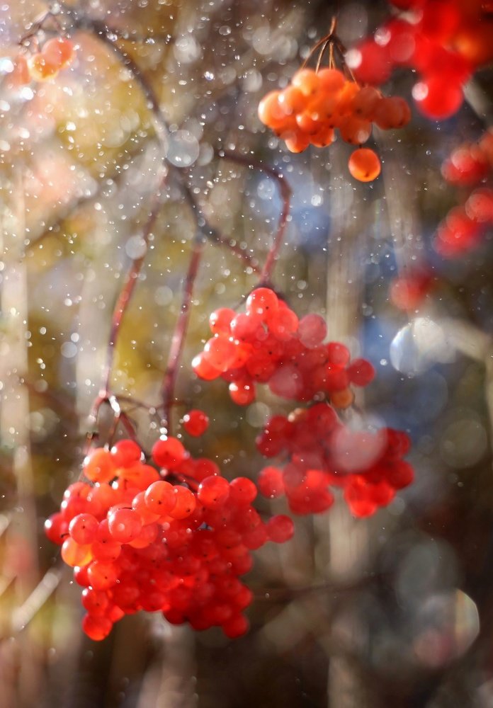 Photograph by Александра Карпцова