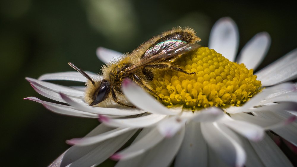 Photograph by Dan Gabriel