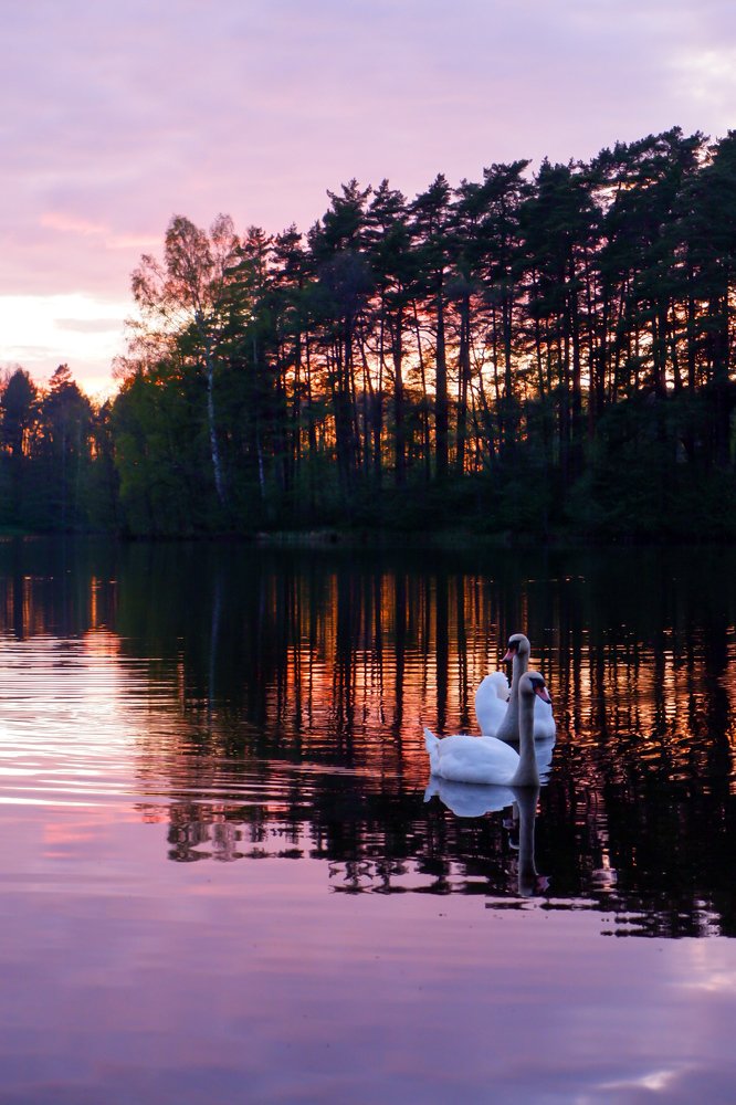 Фотография автора Elvijs Kalniņš