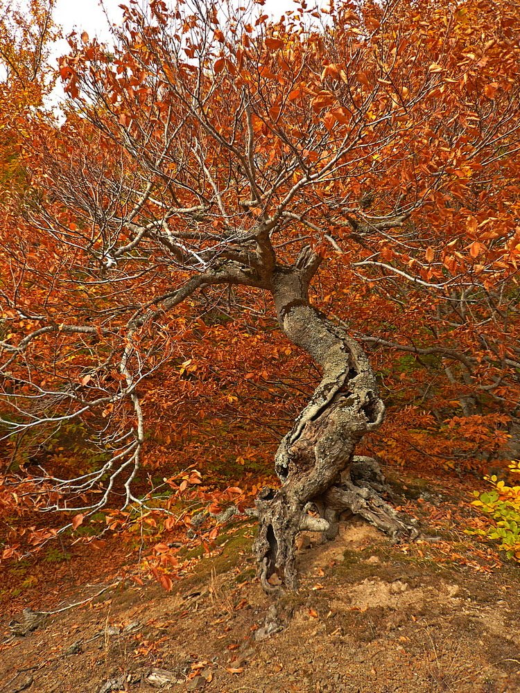 Photograph by Евгений Аккуратов