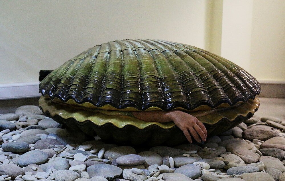 Фотография автора АЛЕКСАНДР ЦЫГЕЛЬНЮК