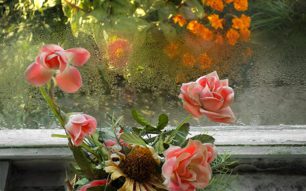 Photograph by Сергей Рудаков