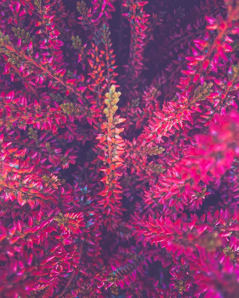 Photograph by Anna Sindikayeva