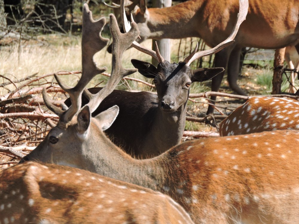 Photograph by Михаил Царикевич