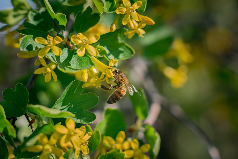 Photograph by Олег Зальвовский