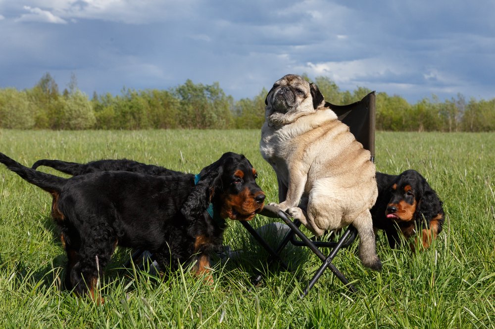 Photograph by Evgeniya Glinskaya