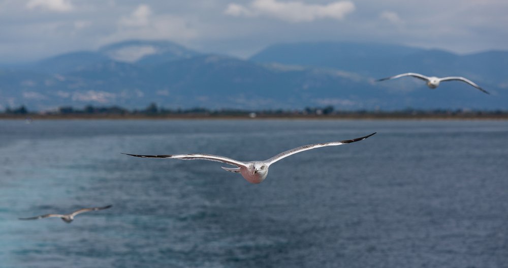 Photograph by Eriks Zilbalodis