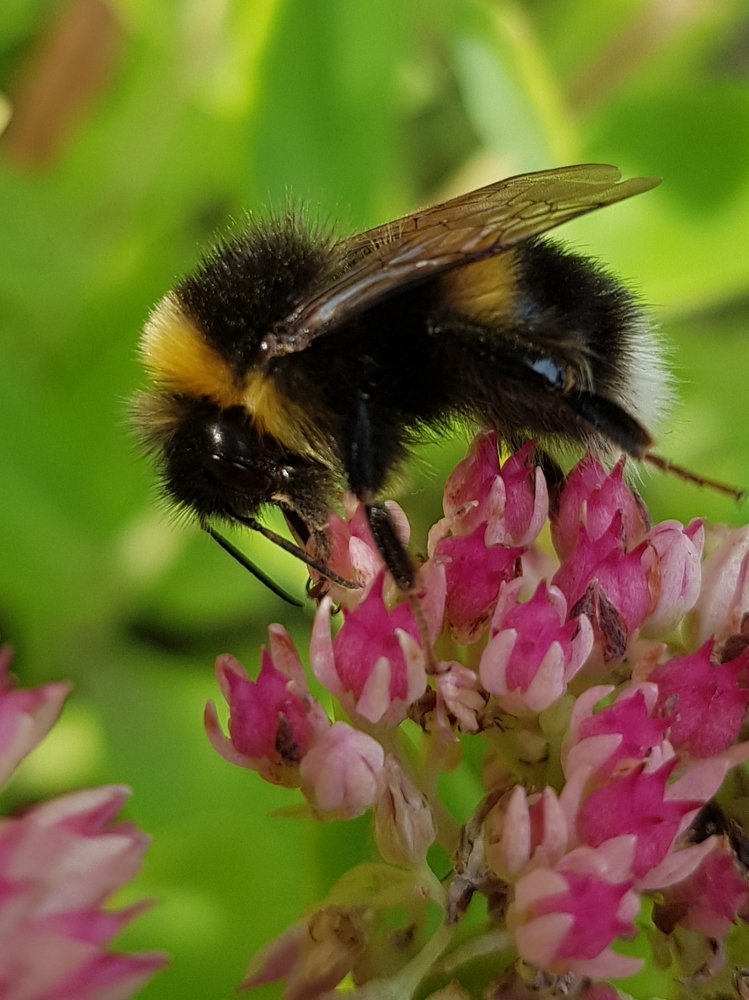 Photograph by Татьяна Козлова