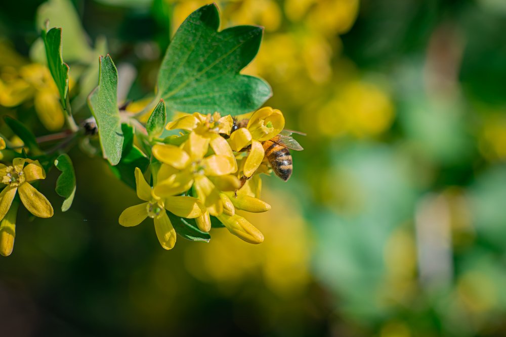 Photograph by Олег Зальвовский