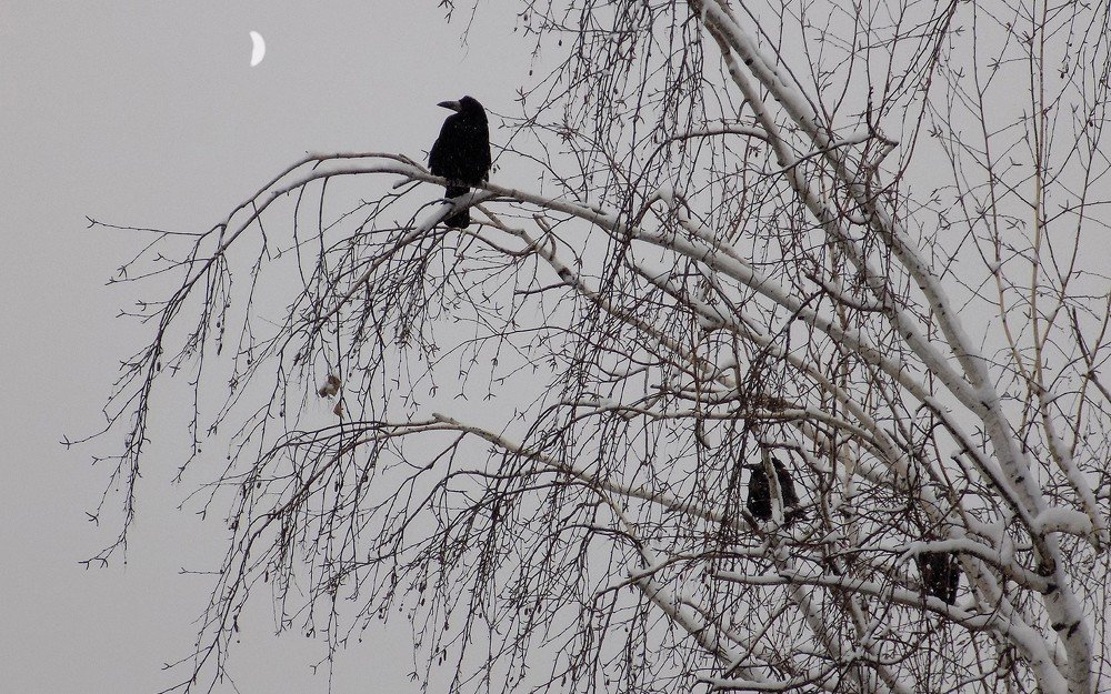 Photograph by Сергей Рудаков