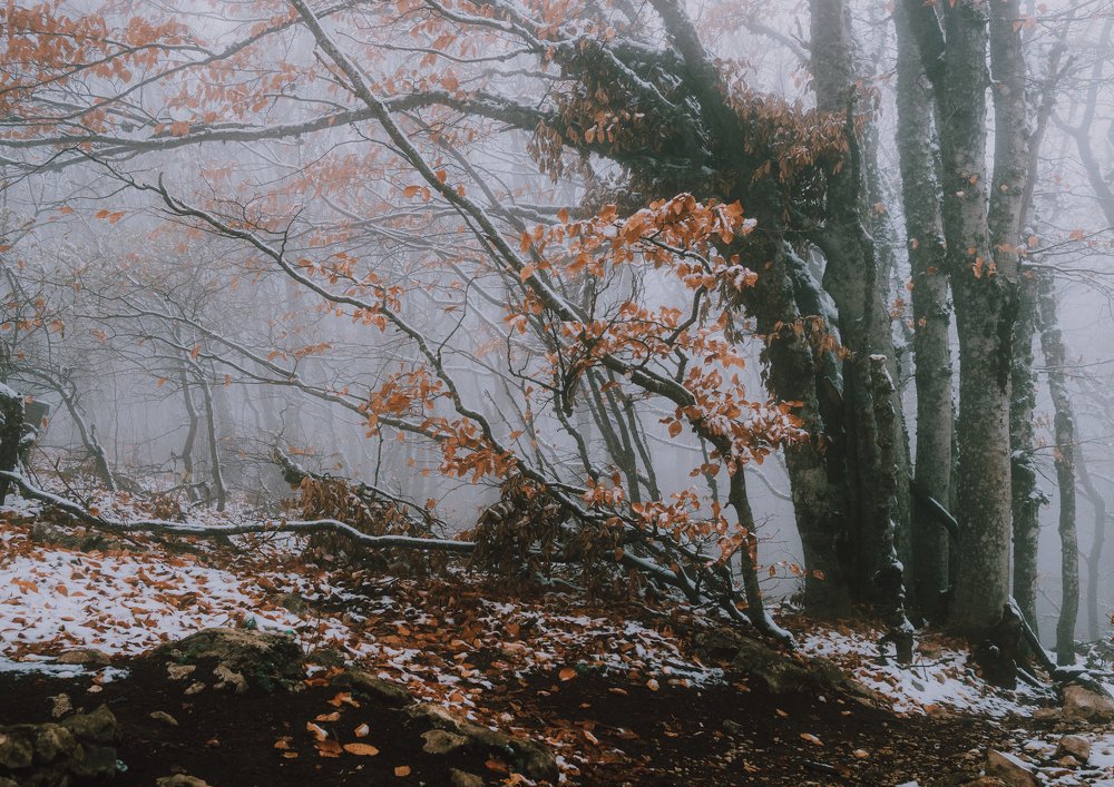 Photograph by Эдгар Черкасов