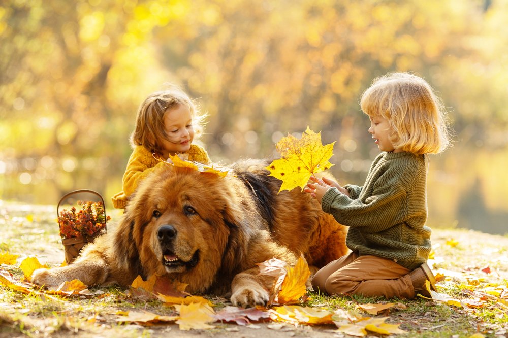 Photograph by Екатерина Коломеец