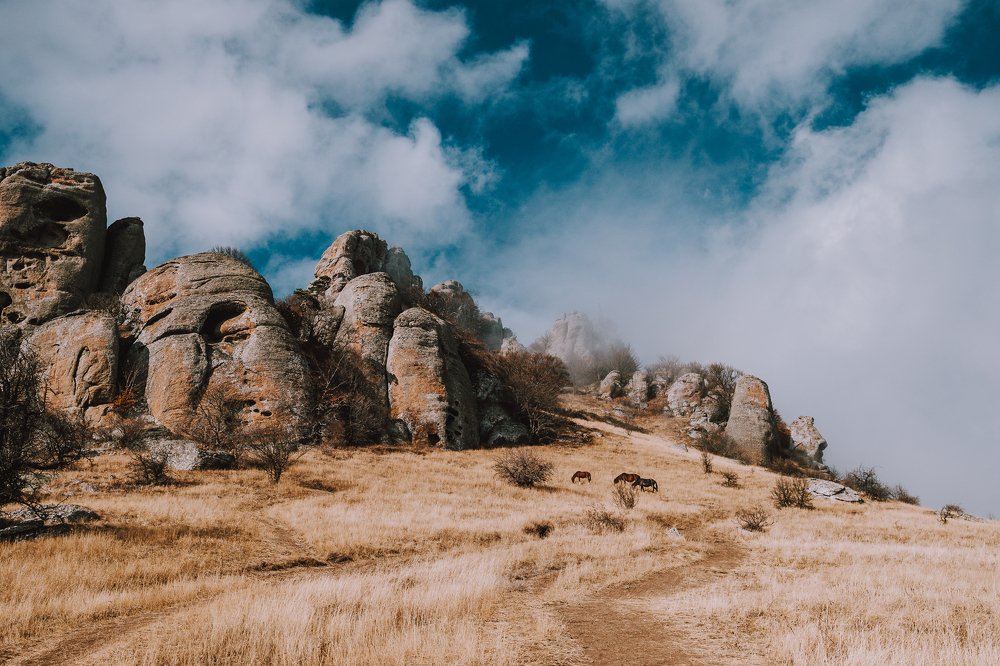 Photograph by Эдгар Черкасов