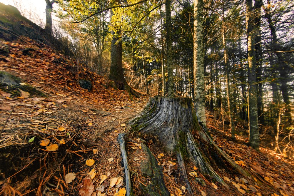 Photograph by Роман Смолко