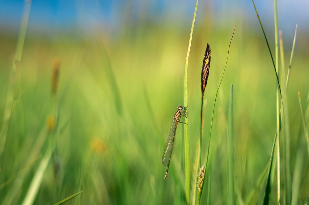 Photograph by Юрий Москалев