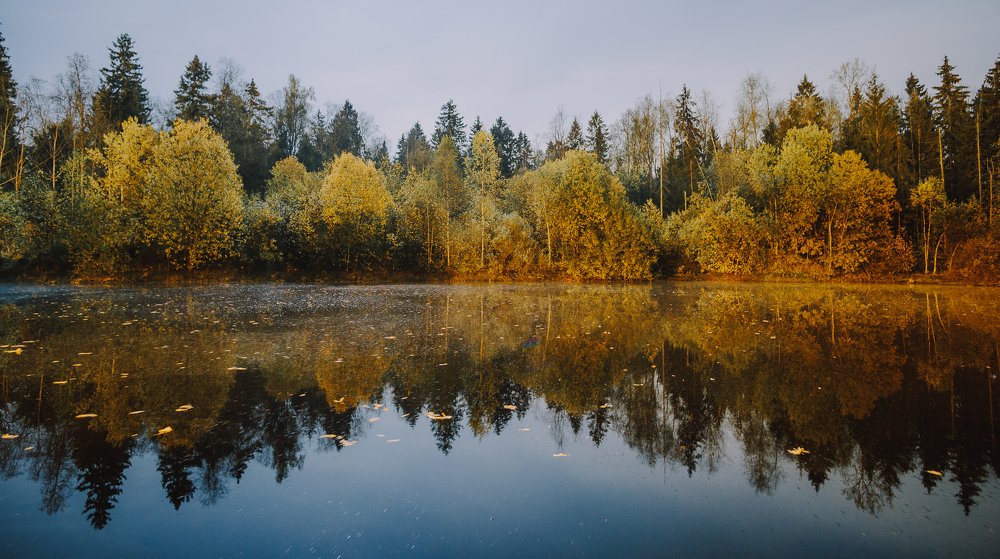 Photograph by Эдгар Черкасов