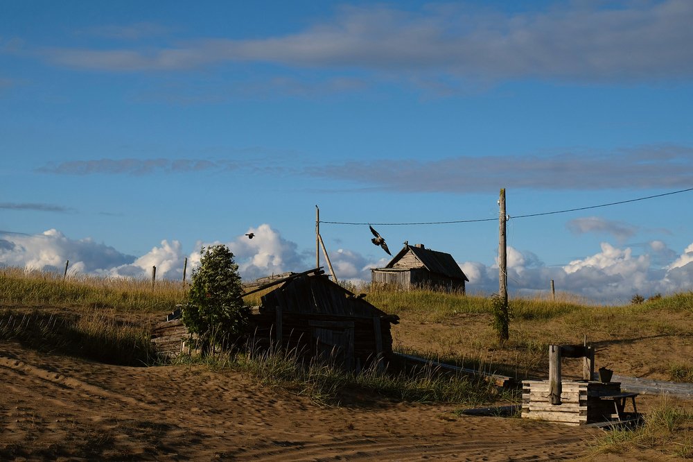 Photograph by Леонид Петруша