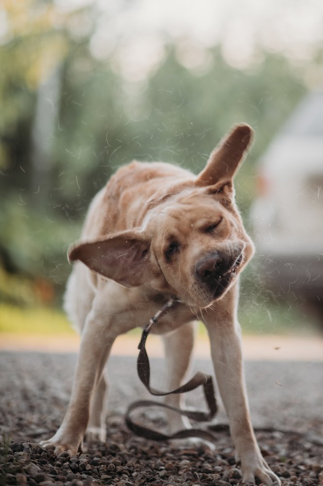 Photograph by Анна Белка