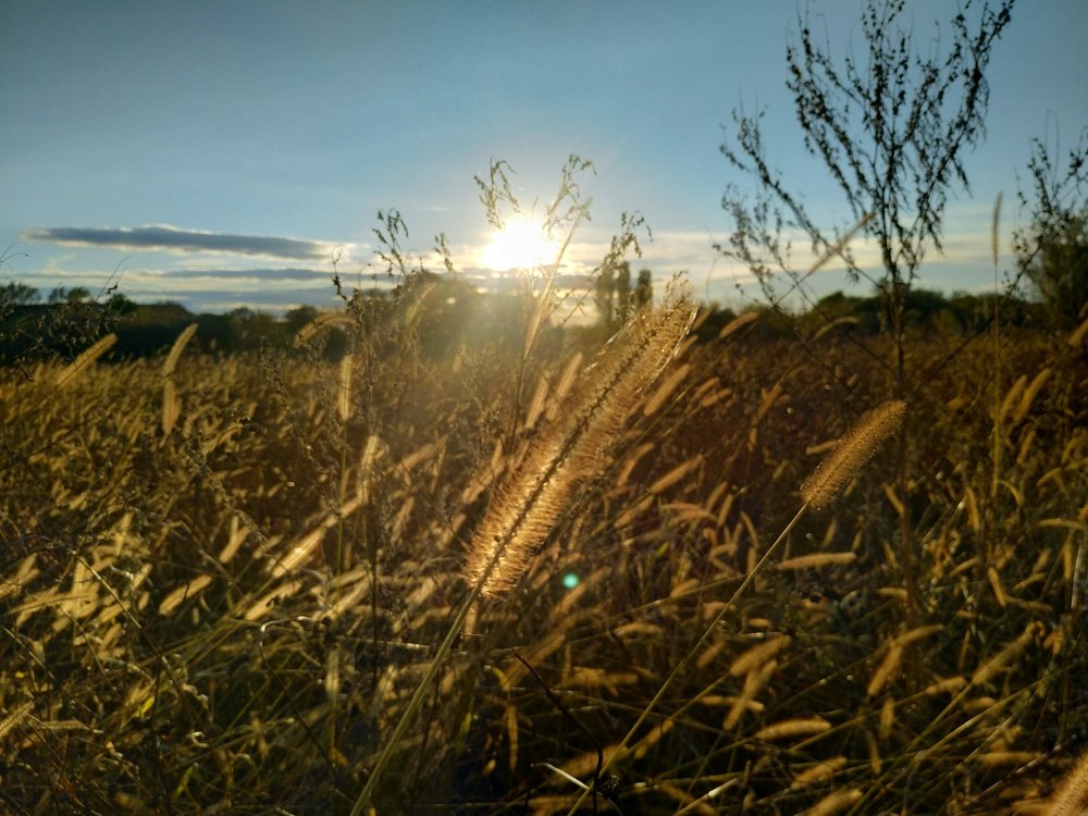 Photograph by Юрий Карач