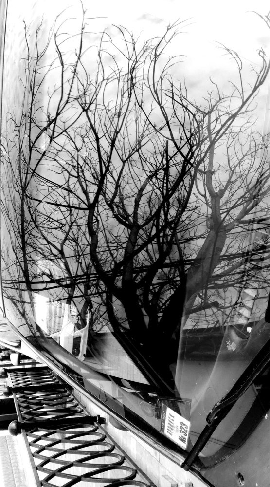 Photograph by Диана Арье