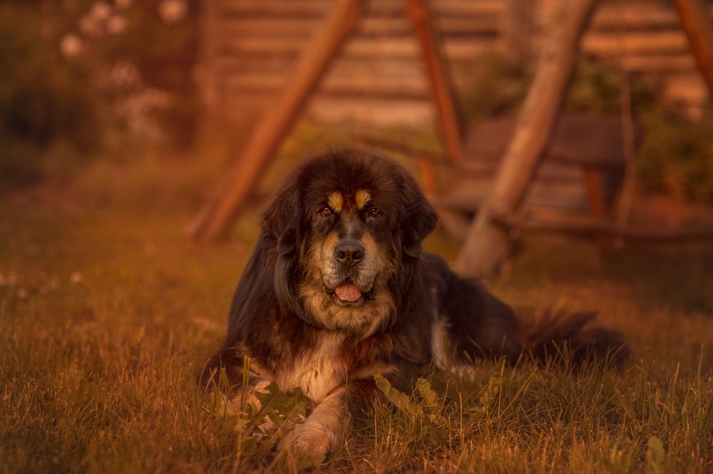 Photograph by Monika Lisowska