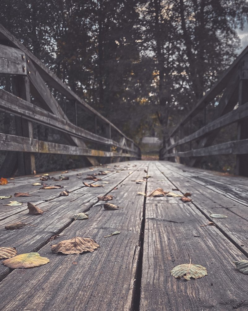 Photograph by Anna Sindikayeva