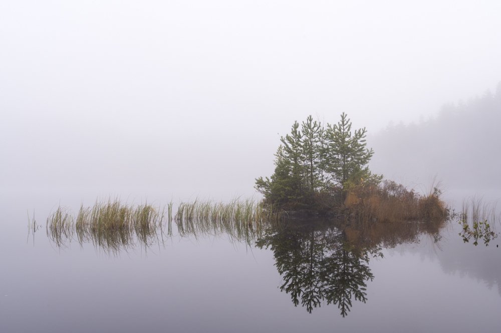 The island in the foggy lake.