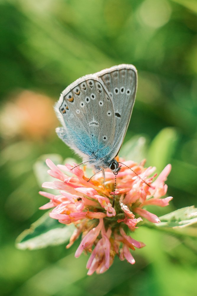 Photograph by Алена