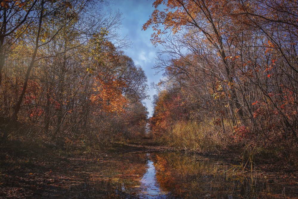 Photograph by Алена Литвин