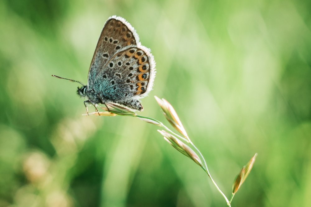 Photograph by Алена