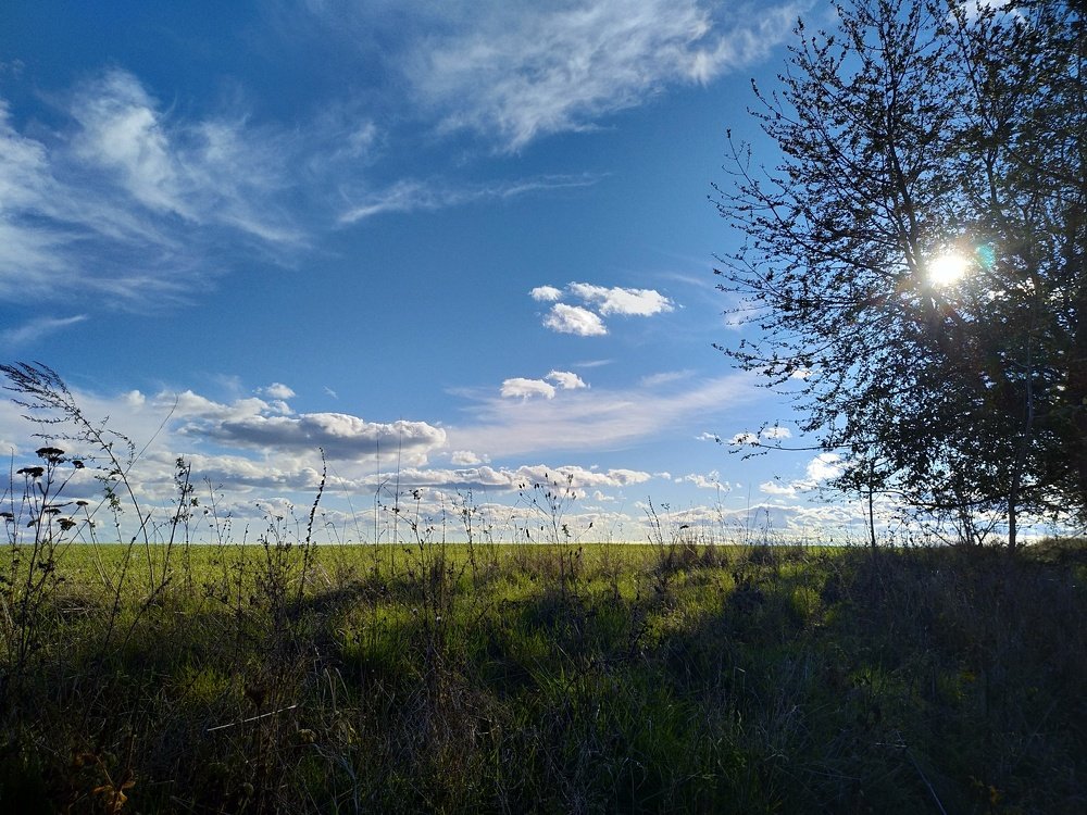 Photograph by Юрий Карач