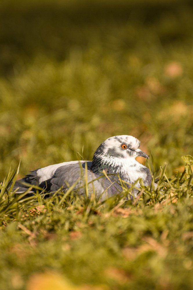 Photograph by Никита Рейзин