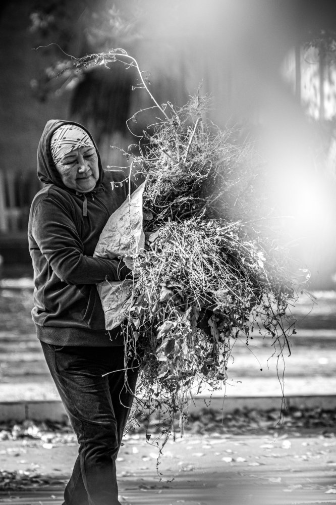 Photograph by Никита Рейзин