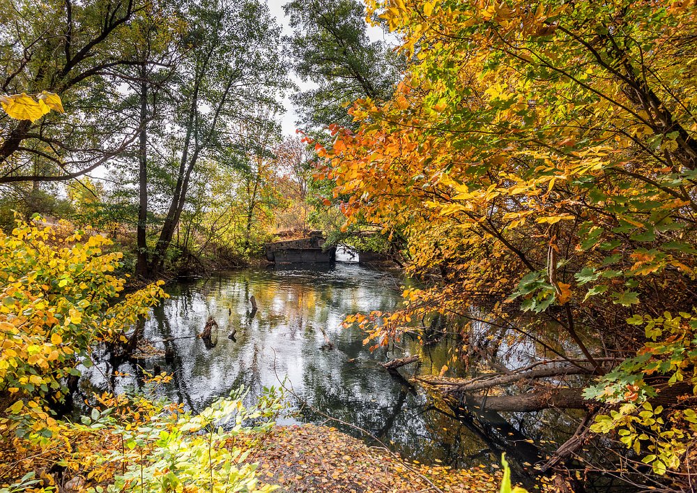 Photograph by Сергей Степанов