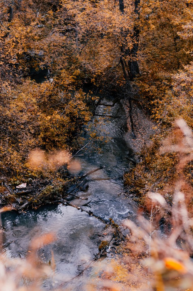 Photograph by Анастасия Макеева