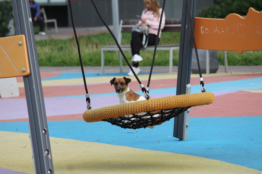 Photograph by Ирина Комарова