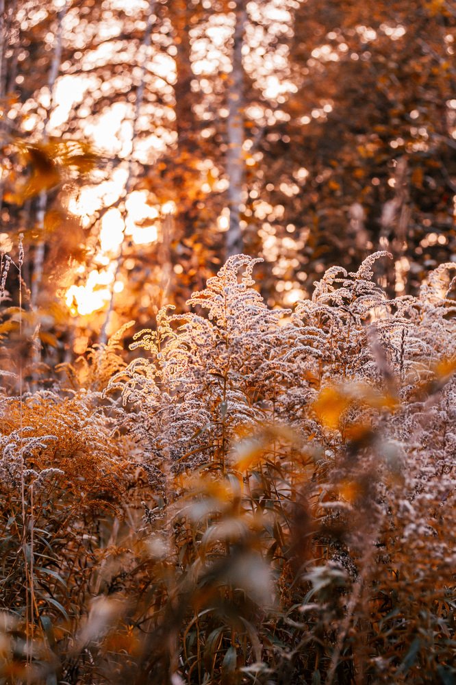 Photograph by Анастасия Макеева