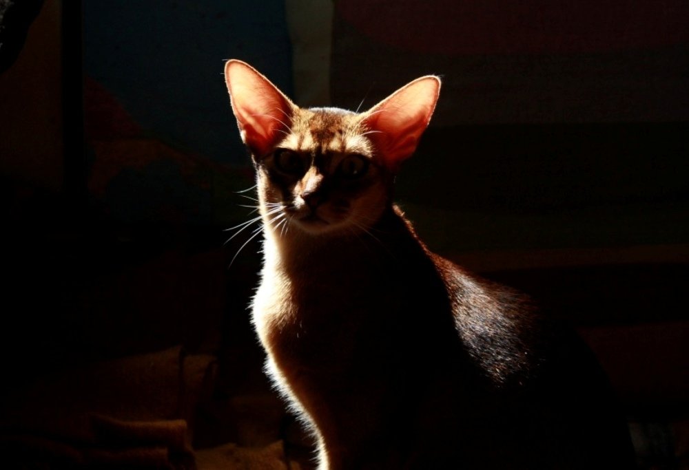 Photograph by Ирина Комарова