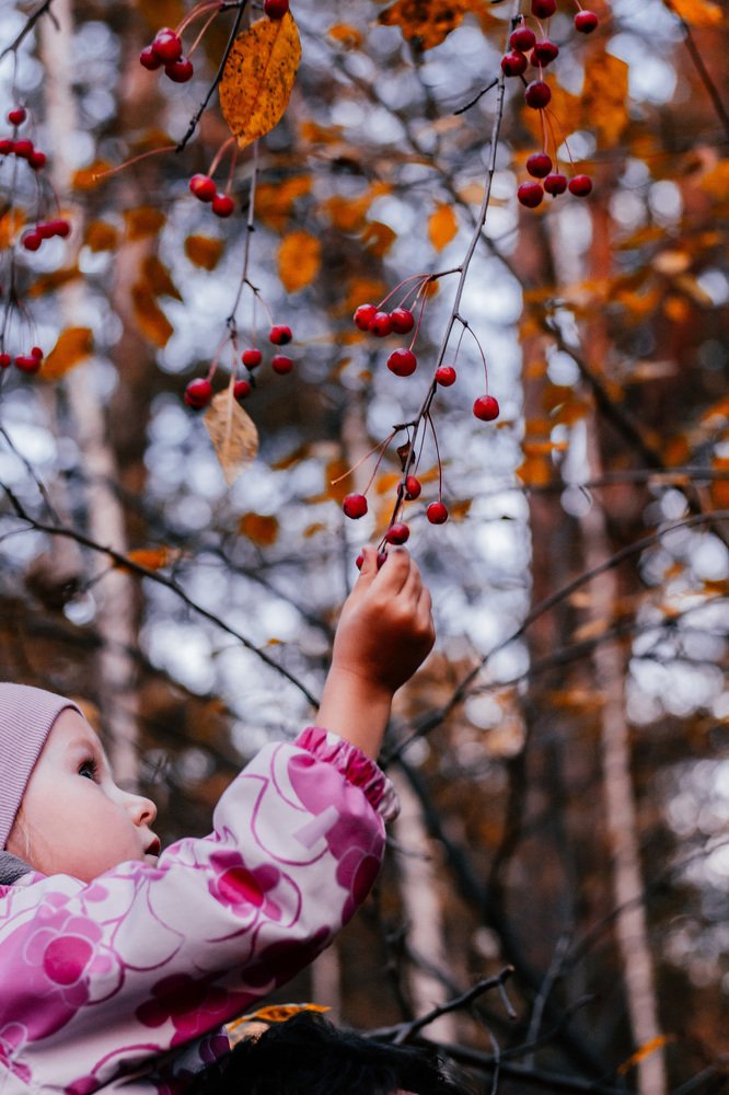 Photograph by Анастасия Макеева