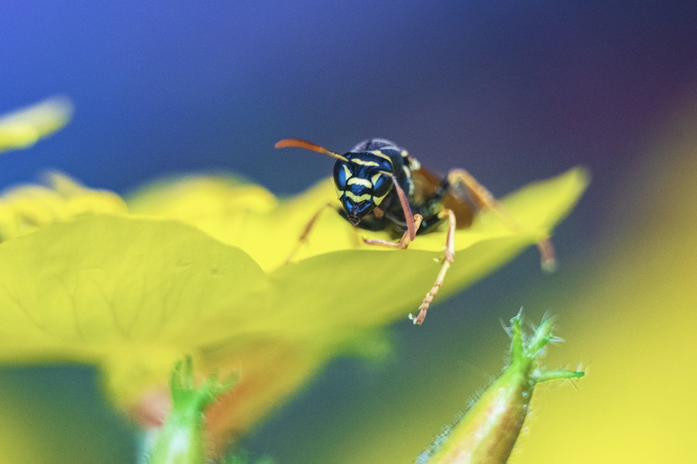 Photograph by Демьян Лопатов