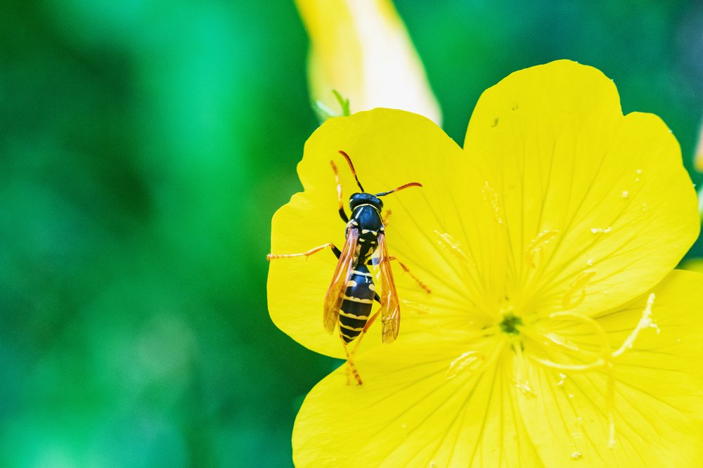 Photograph by Демьян Лопатов