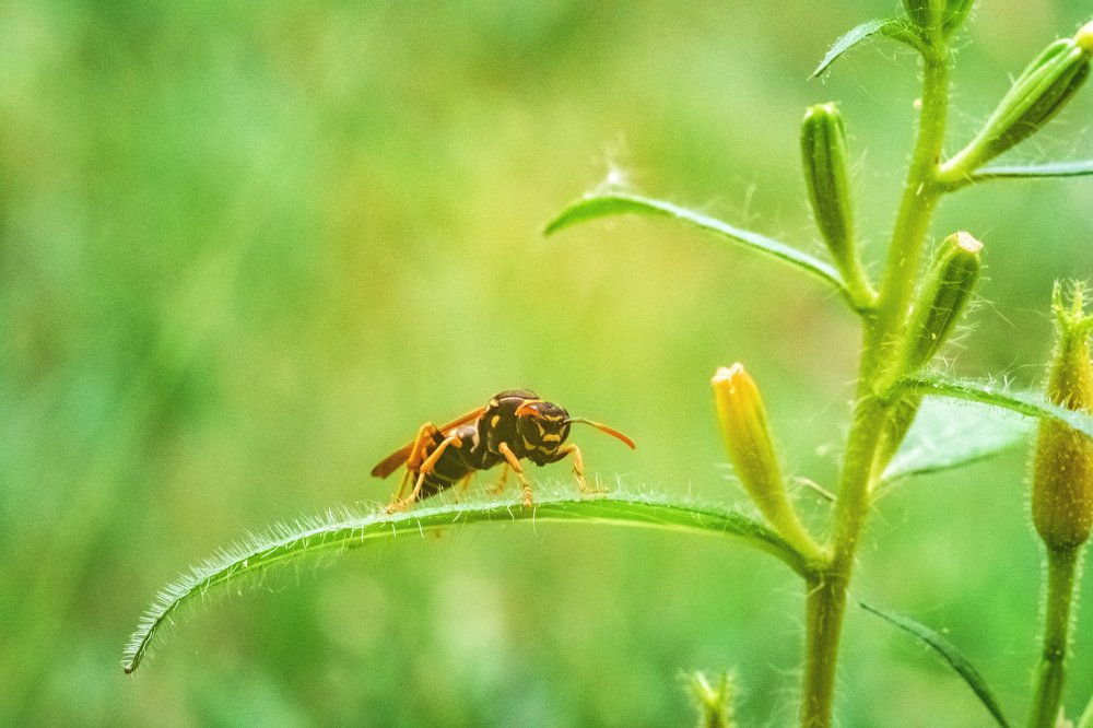 Photograph by Демьян Лопатов