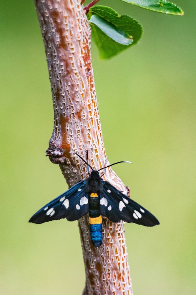 Photograph by Демьян Лопатов