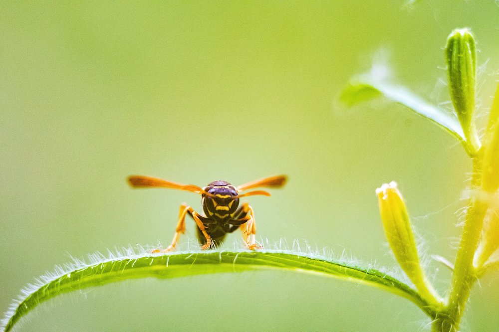Photograph by Демьян Лопатов